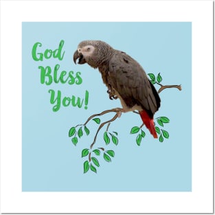 African Grey Parrot  - God Bless You Posters and Art